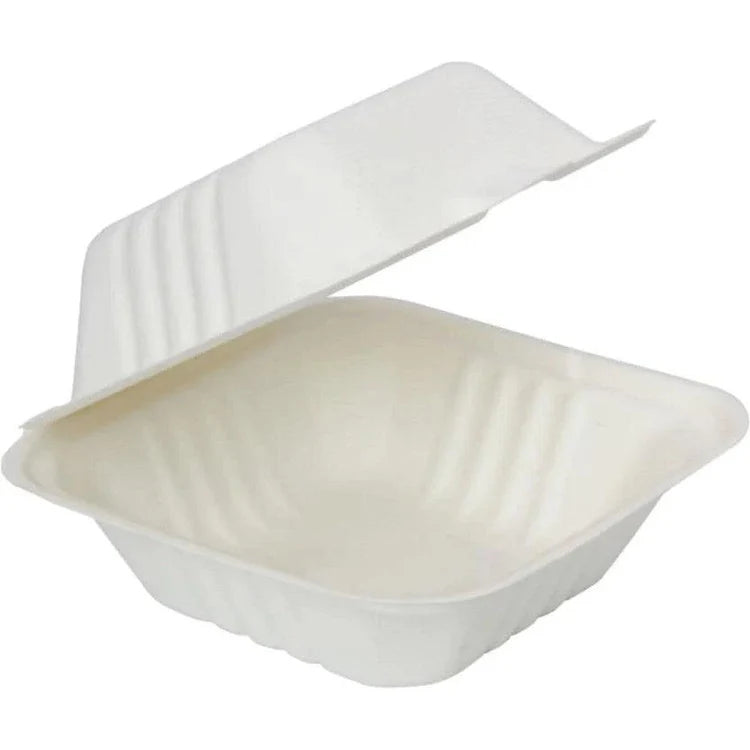 6X6 Bagasse Hinged Cont