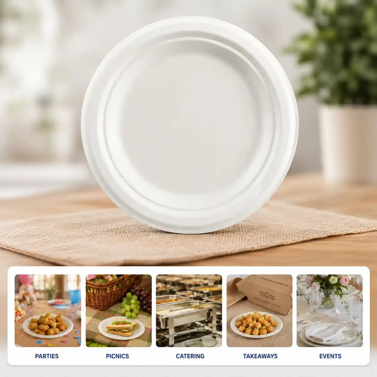 Compostable Plate